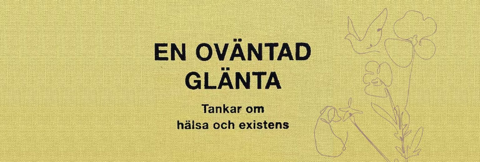En ov&auml;ntad gl&auml;nta