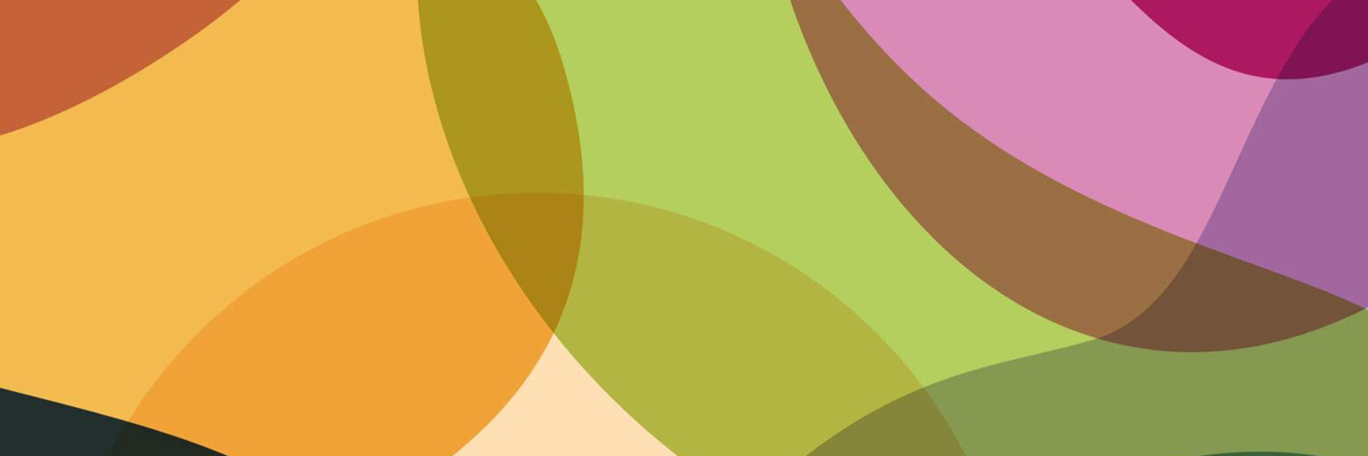 Jag r&ouml;star! - f&ouml;r demokratin